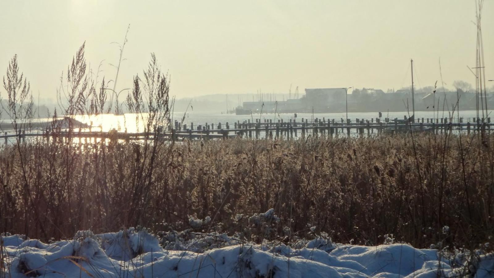 Ferienhaus Dat Smuke Swedenhuus Kappeln Bagian luar foto